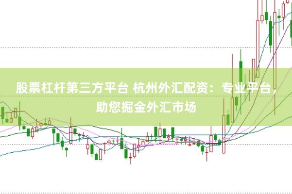 股票杠杆第三方平台 杭州外汇配资：专业平台，助您掘金外汇市场