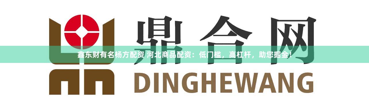 鑫东财有名杨方配资 河北商品配资：低门槛，高杠杆，助您掘金！