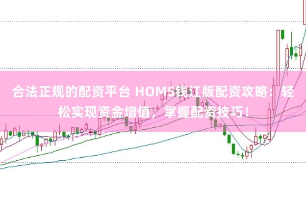 合法正规的配资平台 HOMS钱江版配资攻略：轻松实现资金增值，掌握配资技巧！