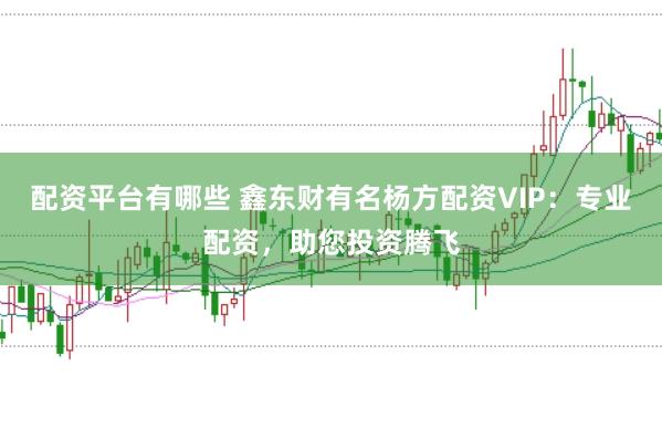 配资平台有哪些 鑫东财有名杨方配资VIP：专业配资，助您投资腾飞