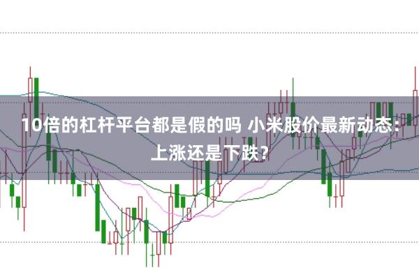 10倍的杠杆平台都是假的吗 小米股价最新动态：上涨还是下跌？