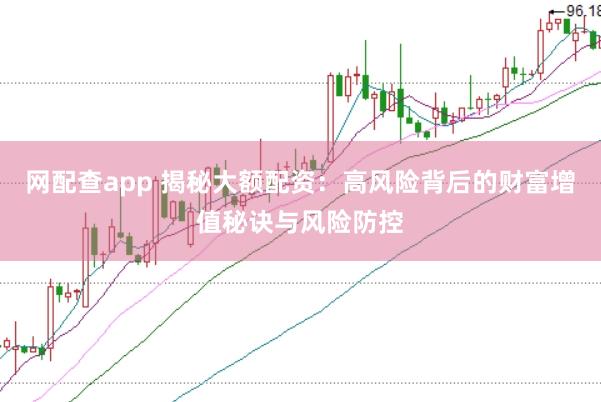 网配查app 揭秘大额配资：高风险背后的财富增值秘诀与风险防控