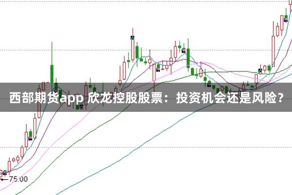 西部期货app 欣龙控股股票：投资机会还是风险？
