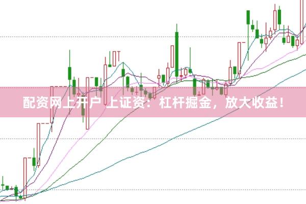 配资网上开户 上证资:杠杆掘金,放大收益!